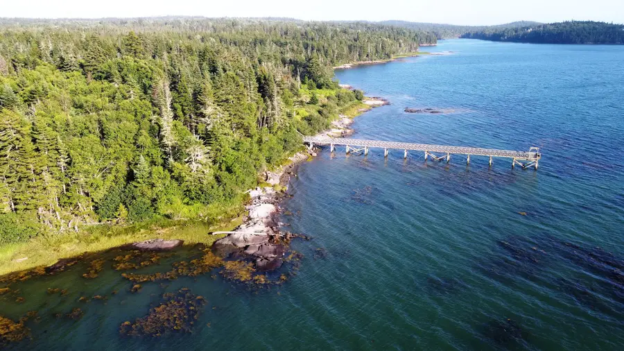 Lot 20-5-1 Collins Cove Road, Machiasport, ME 04655 - #3