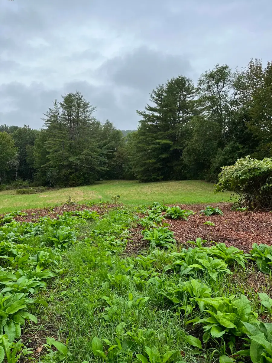 265 Friendship Road, Waldoboro, ME 04572 - #3