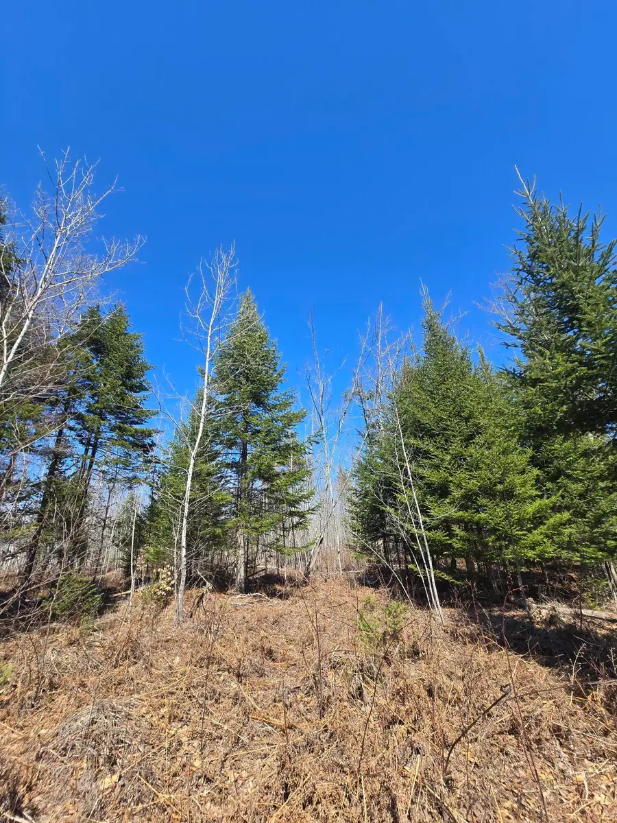 00 Chadbourne Road, Harmony, ME 04942 - #3