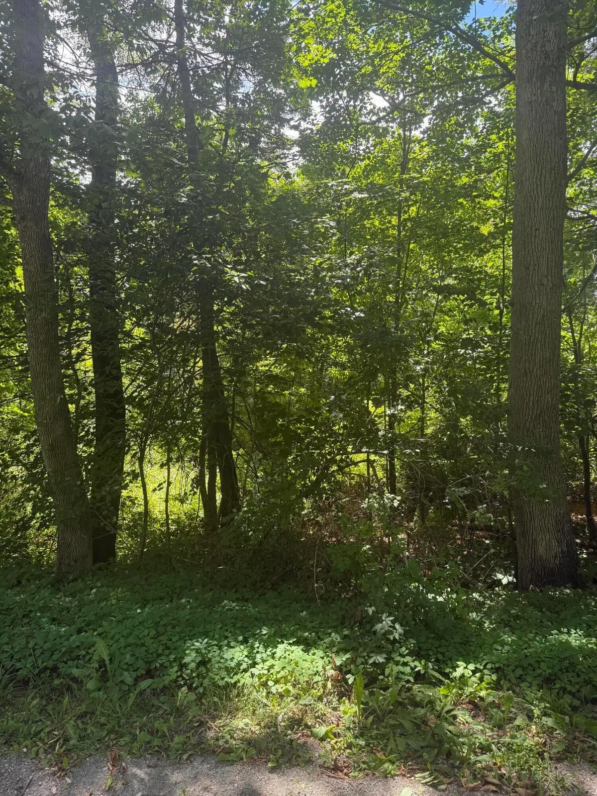 0 Patterson Hill Road #Lot 2, Belfast, ME 04915 - #1