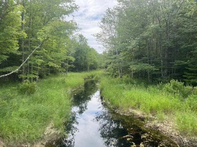 53 Woodland Drive, Trenton, ME 04605 - #2