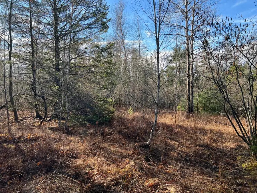 207 Gray Meadow Road, Orland, ME 04472 - #3