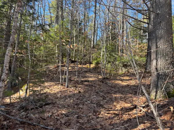 Lot 3 Heath Road, Whitefield, ME 04353