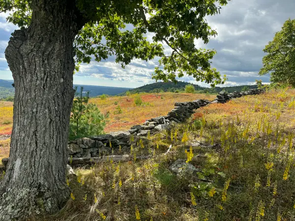 0 Heart Oak Lane, Union, ME 04862