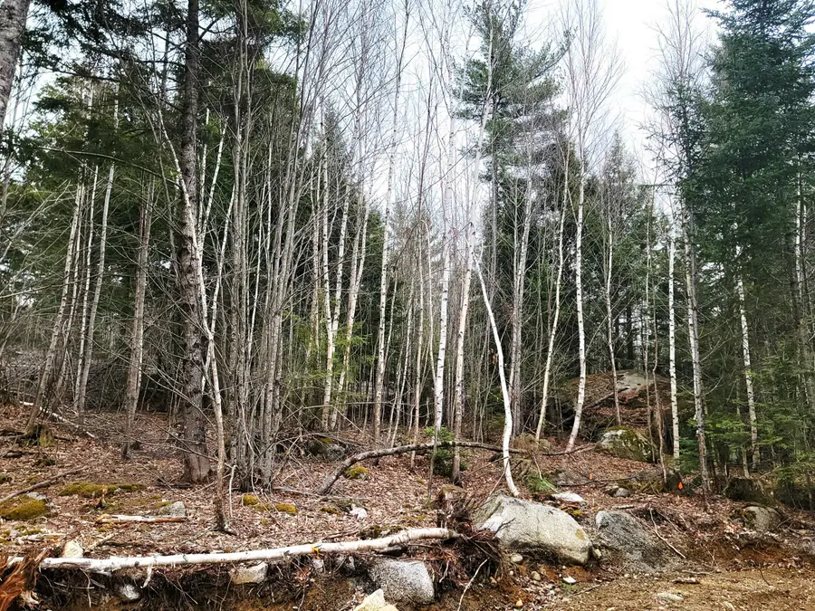 Lot B-2 Pioneer Path, Aurora, ME 04408 - #3