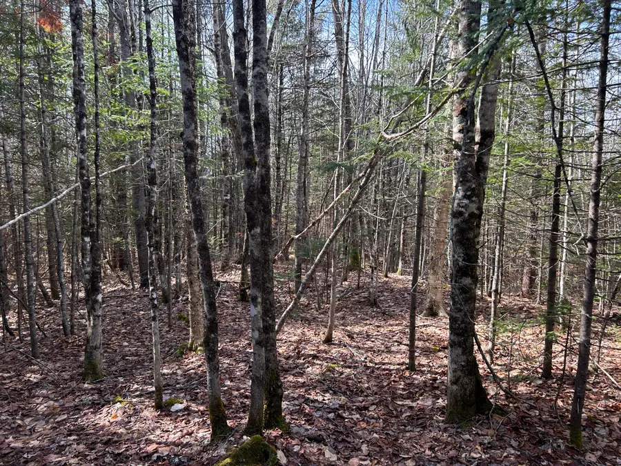 Lot 4 Holley Road, Farmington, ME 04938 - #3