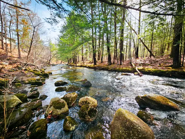 922 Weld Road, Wilton, ME 04294