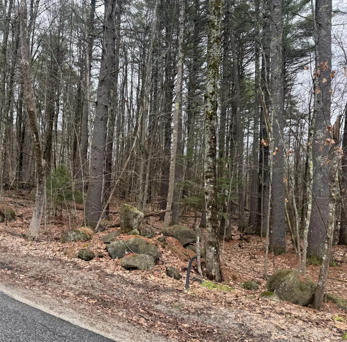 0 Sedgley Road, Limerick, ME 04048 - #1