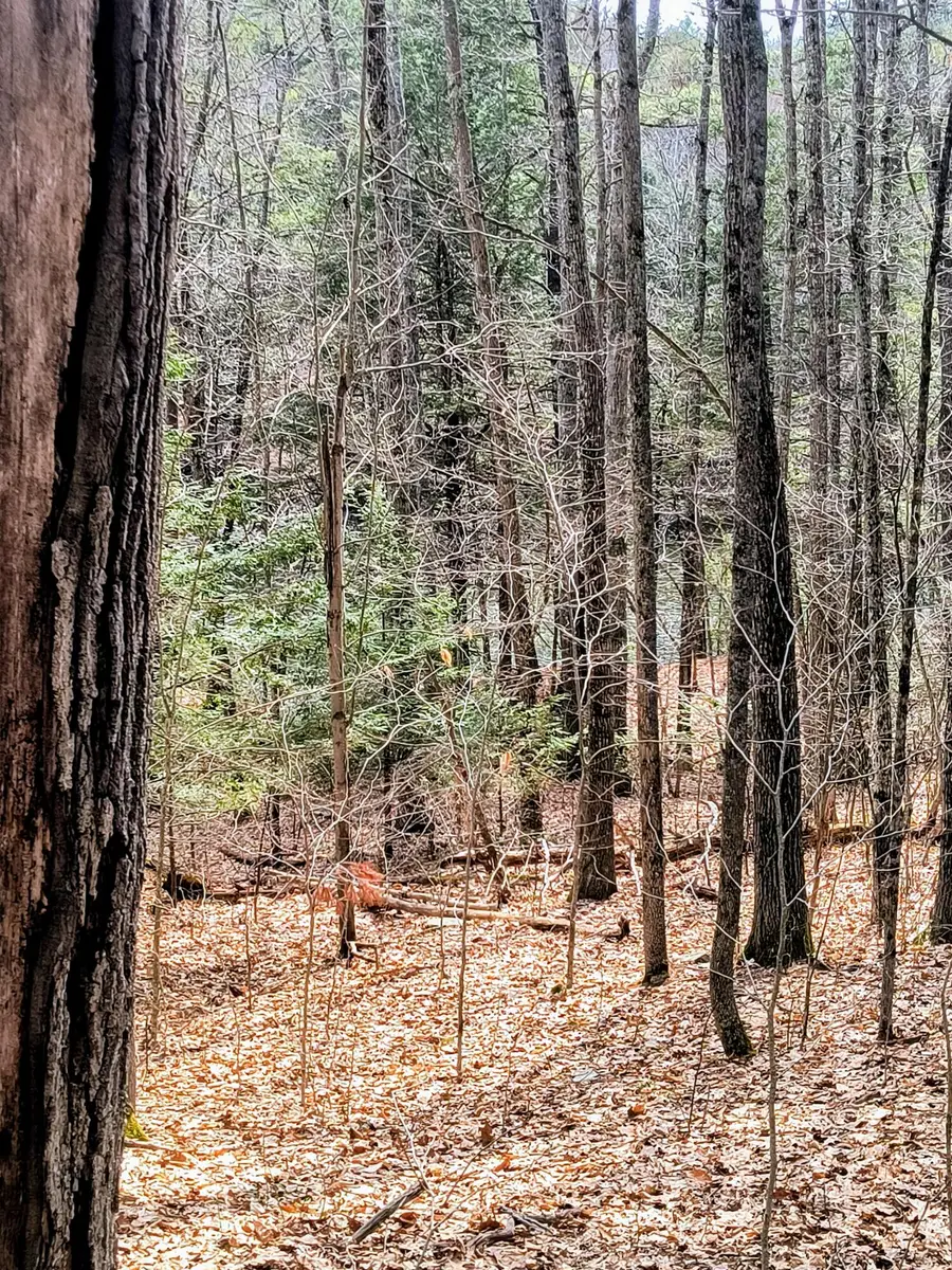 202 Falmouth Road, Falmouth, ME 04105 - #2