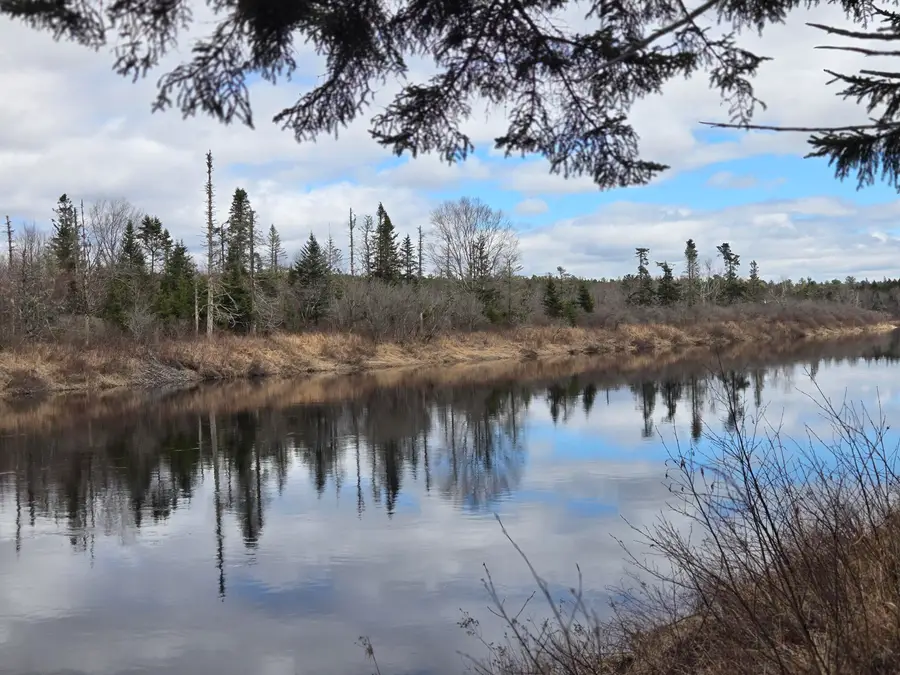 84 Hanscom Road, Whitneyville, ME 04654 - #2