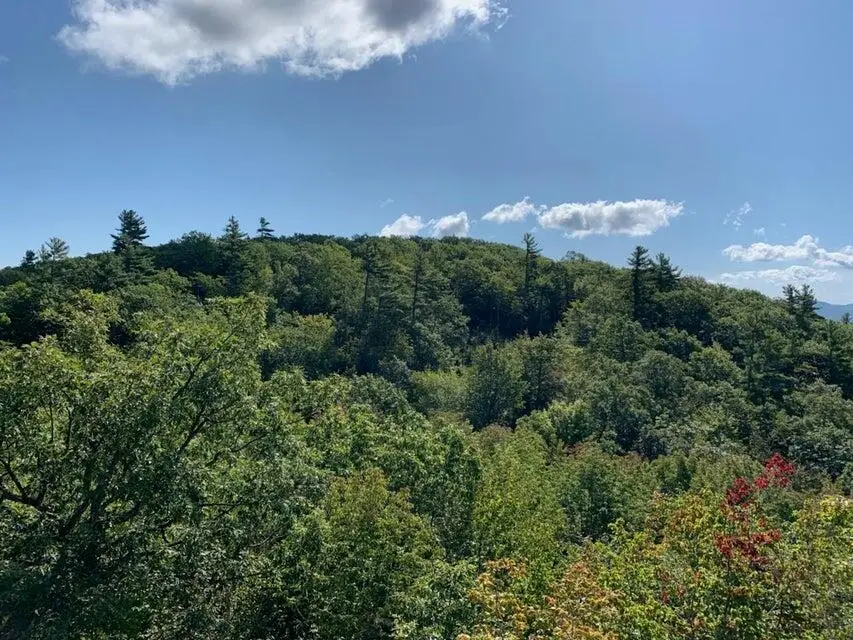 R05-0023 Tripptown Road, Hiram, ME 04041 - #2