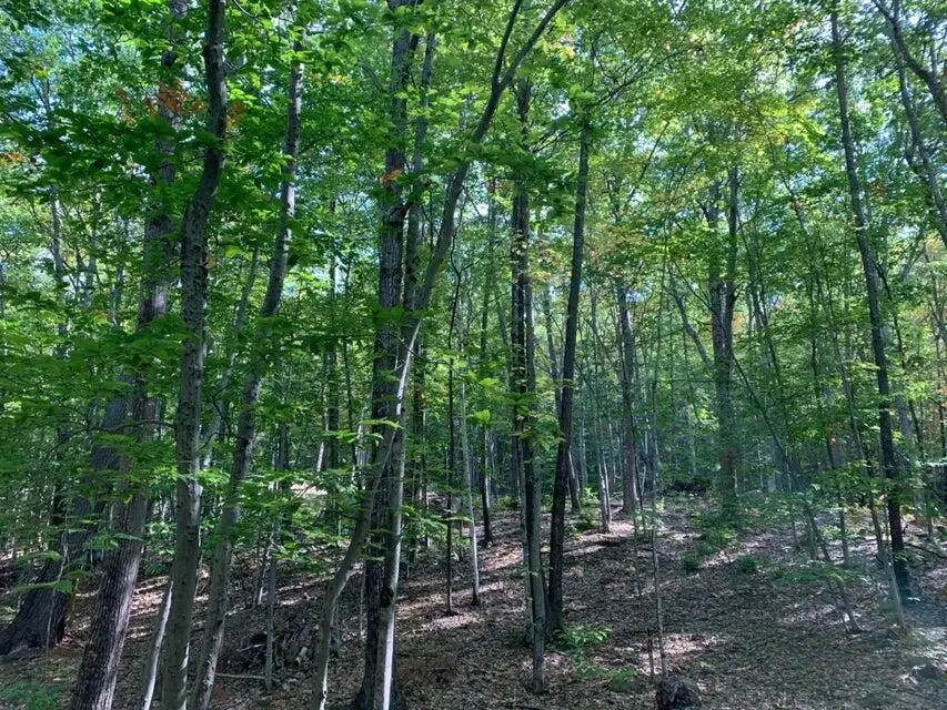 R05-0023 Tripptown Road, Hiram, ME 04041 - #3