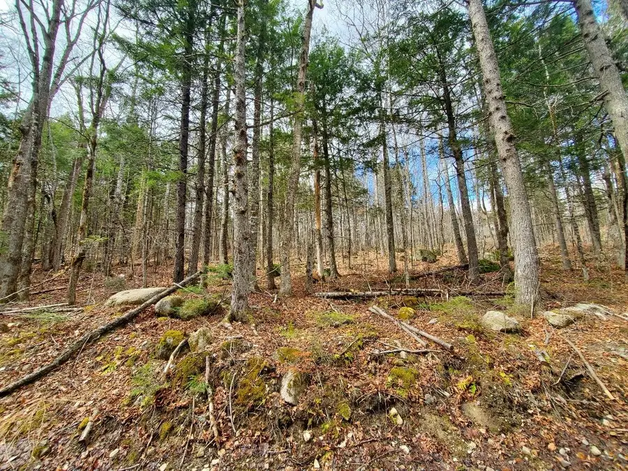 0 Sandy Beach Road, Danforth, ME 04424 - #2