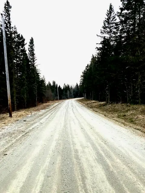 02_Lot _At Blaine School Road, Fort Kent, ME 04743 - #2