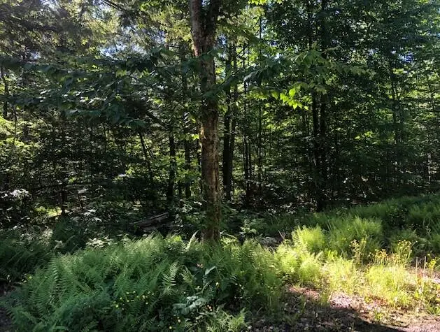 0 Flag Cove Road Road, Bowerbank, ME 04426 - #2