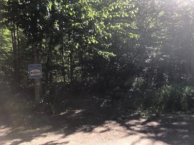 0 Flag Cove Road Road, Bowerbank, ME 04426 - #3