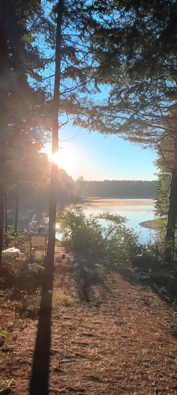 217 Frost Mill Road, Mariaville, ME 04605