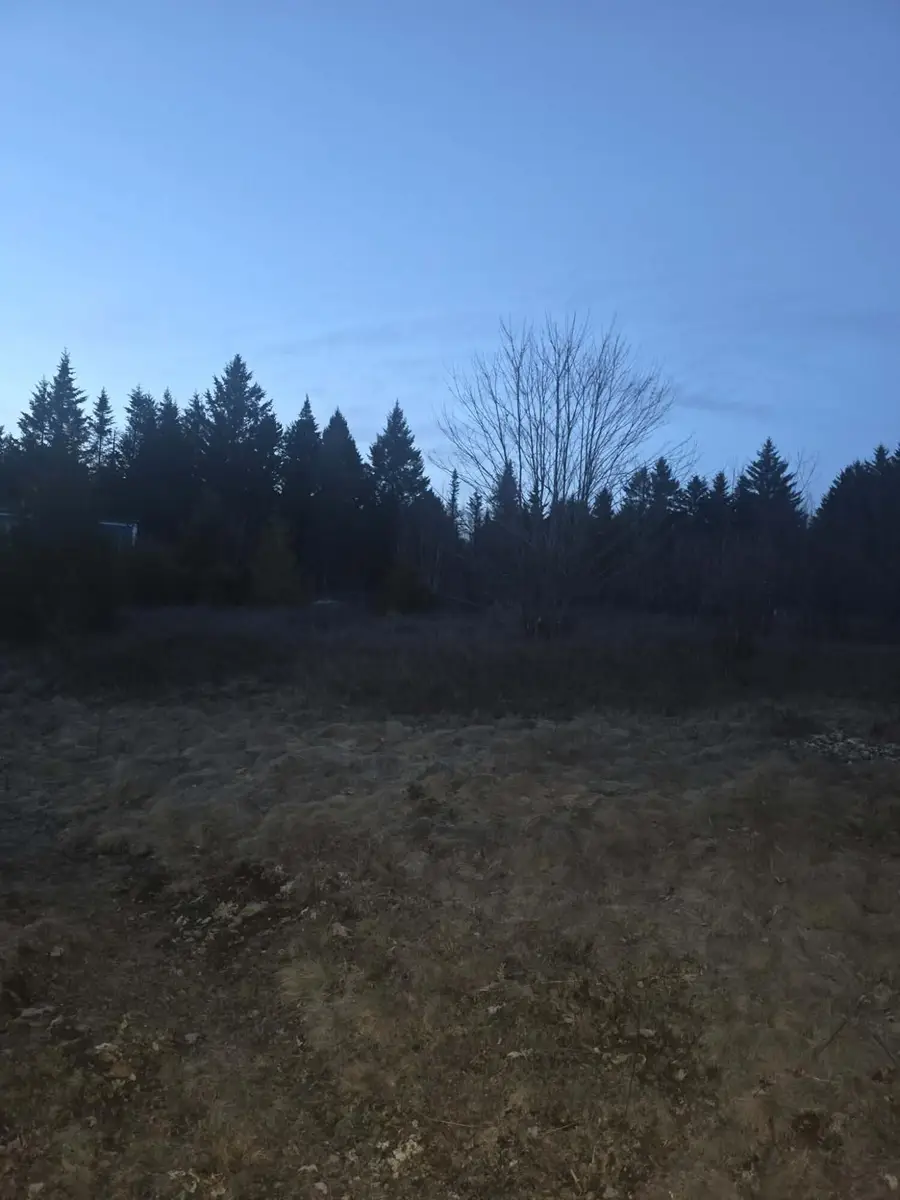 WA031 King Street, East Central Washington, ME 04628 - #2