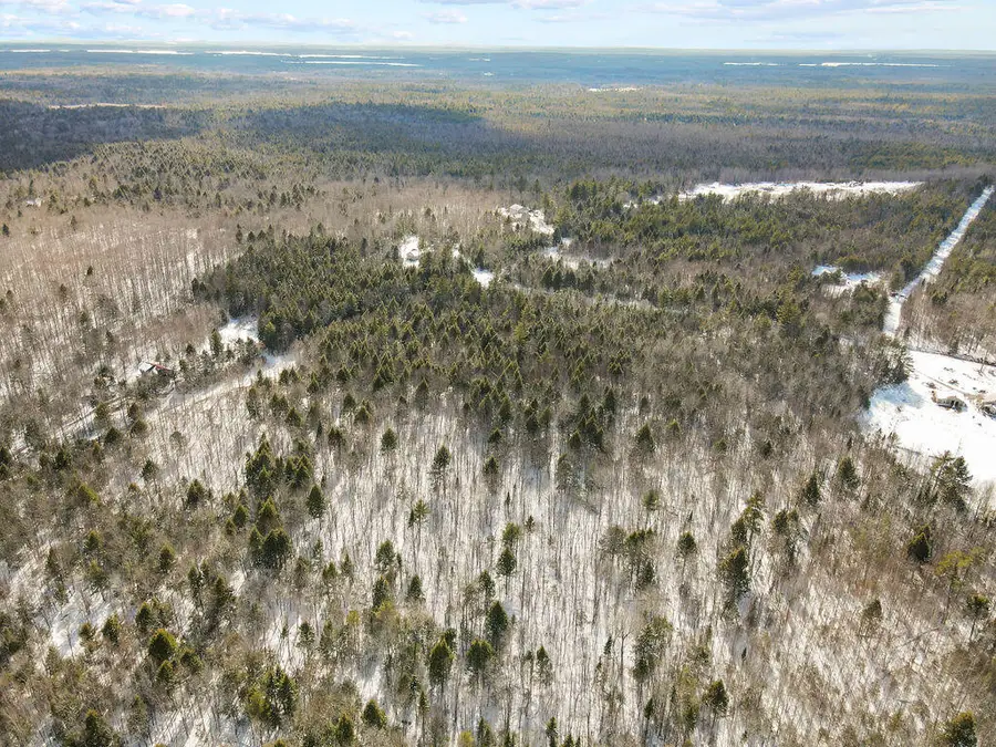 Lot 39 Dolliff Road, Alton, ME 04468 - #3