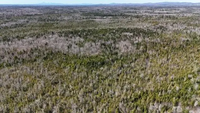 Address Withheld By Seller, South Aroostook, ME 04413 - #1