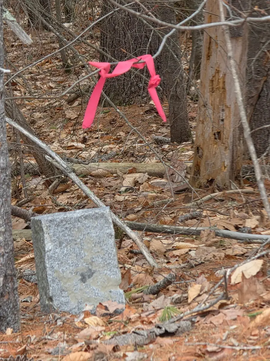 0000 Waterford Road, Norway, ME 04268 - #3