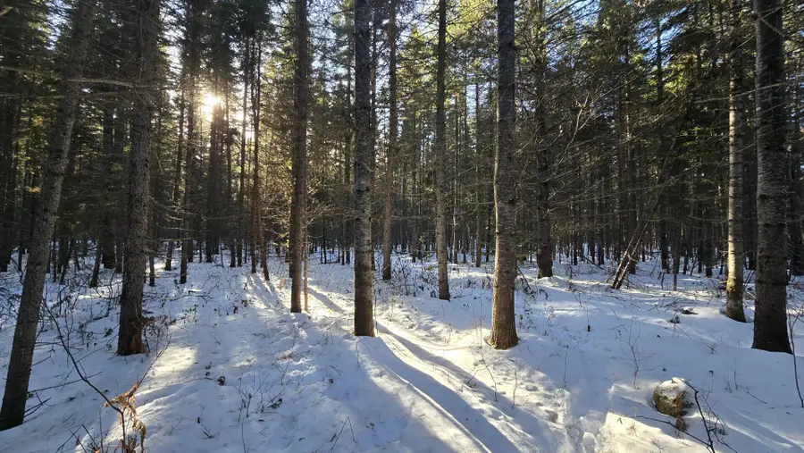 M15L10A Thomas Road, Woodland, ME 04736 - #2