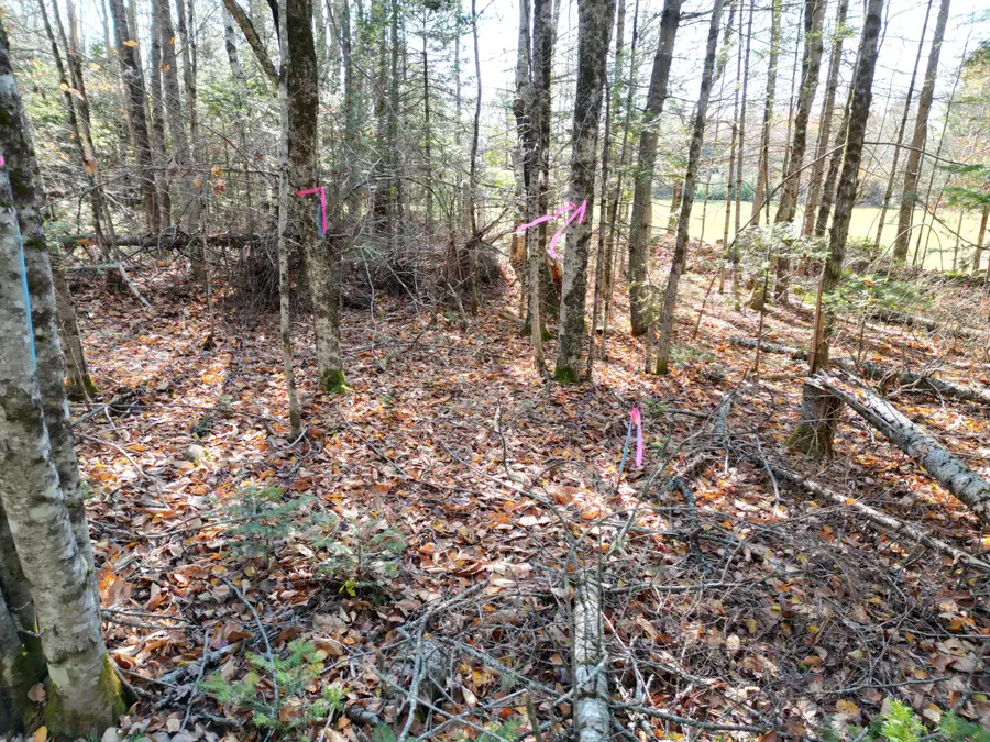 Lot 8A,9A James Way, Lincoln, ME 04457 - #2