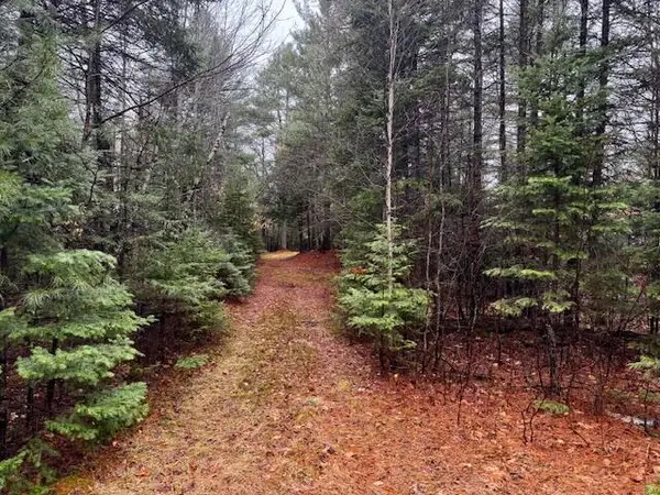 SO 001 Plan 2 Lot 16.1 Long Falls Dam Road, Lexington Twp, ME 04961