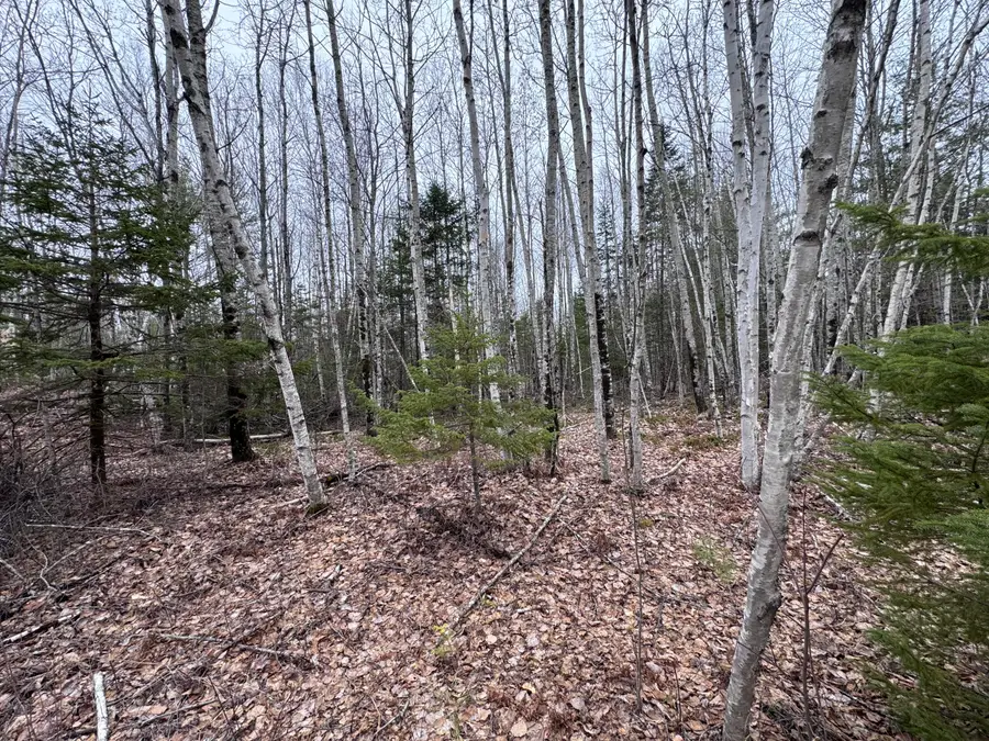 24&36 Wolf Run Trail, Greenbush, ME 04418 - #3
