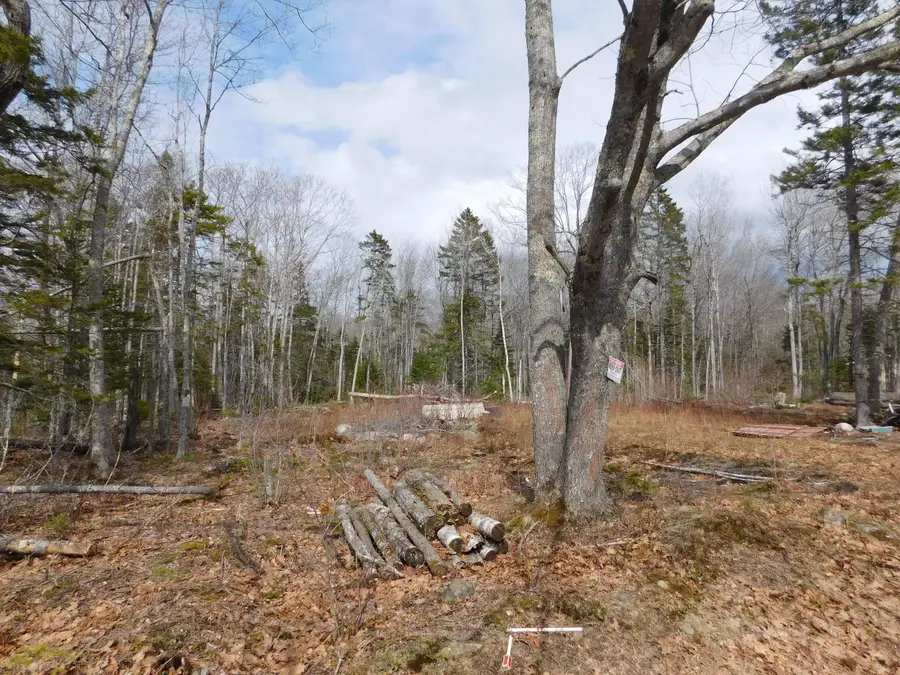Lot # 0 Beech Hill Road, Northport, ME 04849 - #2