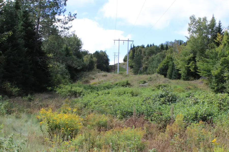 44 Paradis Avenue, Frenchville, ME 04745 - #2