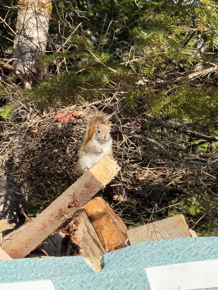 358 Puddledock Road, Charleston, ME 04422 - #2