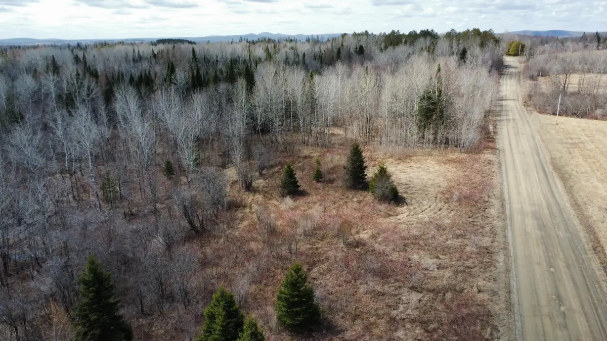 Map6 Lot31 Mountain Road, Blaine, ME 04734 - #1