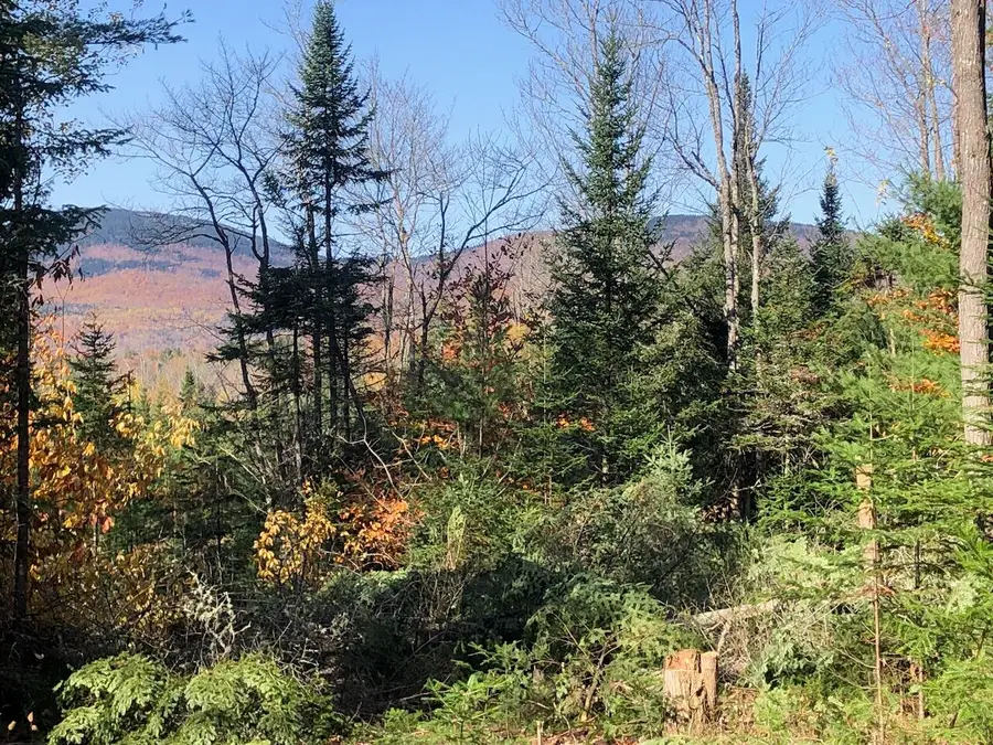 923 Center Hill Road, Weld, ME 04285 - #2