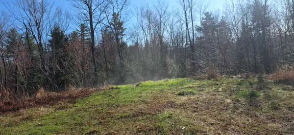 Lot 22 High Street, West Paris, ME 04289