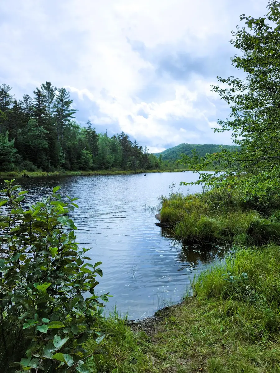 672 Meadow Lane, Rumford, ME 04276 - #3