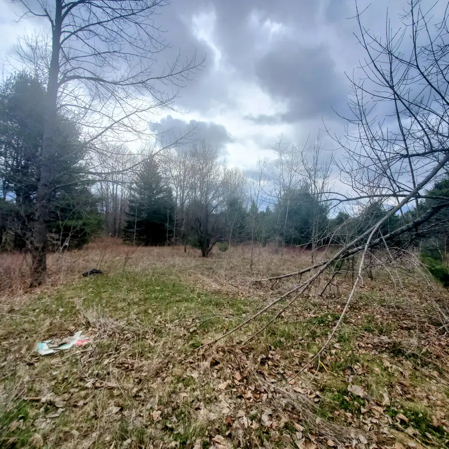 Lot 5 Dexter Road, Cambridge, ME 04923 - #2
