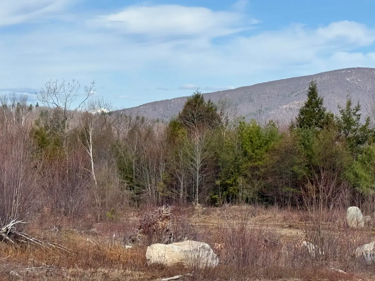29 Haviture Way, Denmark, ME 04022 - #1