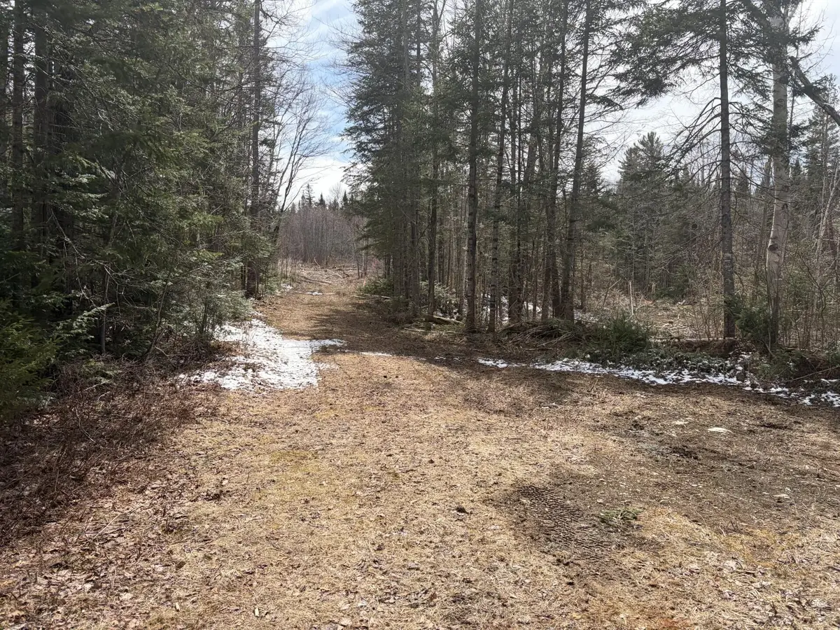 339 Long Pond Road, Jackman, ME 04945 - #1