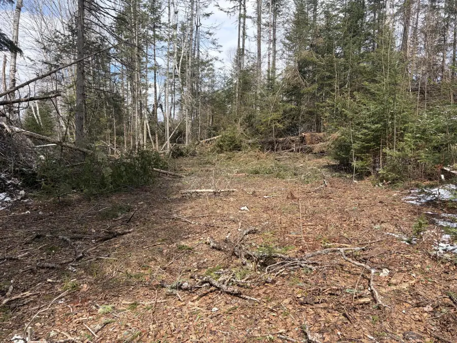 339 Long Pond Road, Jackman, ME 04945 - #2