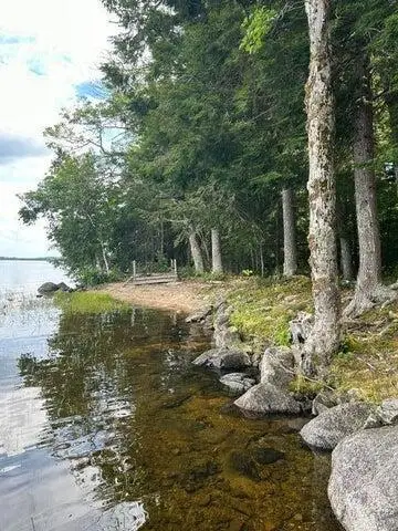 0 Buckman Island, Passamaquoddy Indian Township, ME 04668 - #3