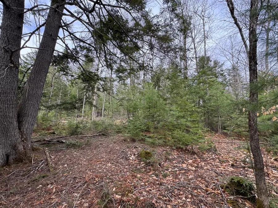0 Mantor School House Road, Parkman, ME 04443 - #3