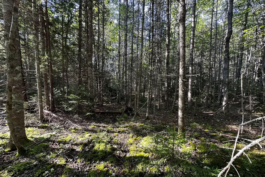 00 Cross Road, Sedgwick, ME 04676 - #2