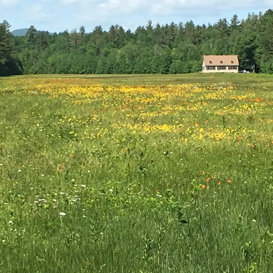 149 Airport Road, Phillips, ME 04966 - #2