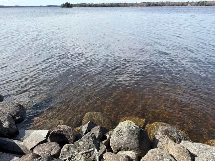 3 E Shore Road, Whiting, ME 04691 - #3