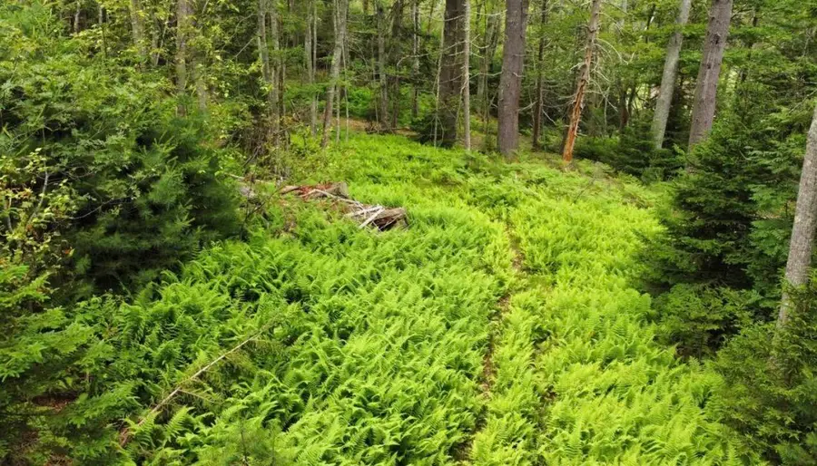 7 Wrong Way Drive, Phippsburg, ME 04562 - #3