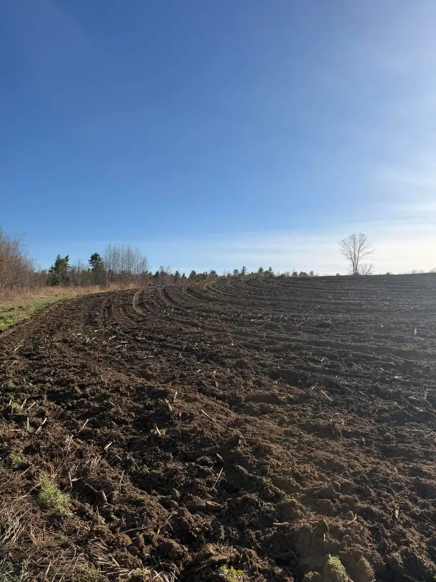Lot 2 Torrey Road, Poland, ME 04274 - #3
