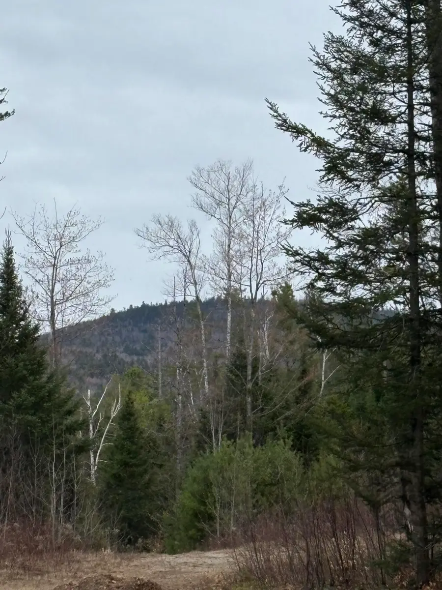 Lot 1 Fleming Road, Bethel, ME 04217 - #3