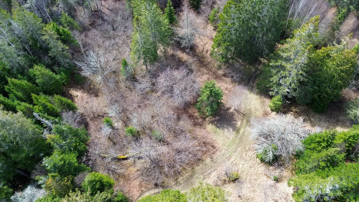 M WA 032 Plan 01 L 101.1, 101.6, 101.7, East Central Washington, ME 04652 - #1