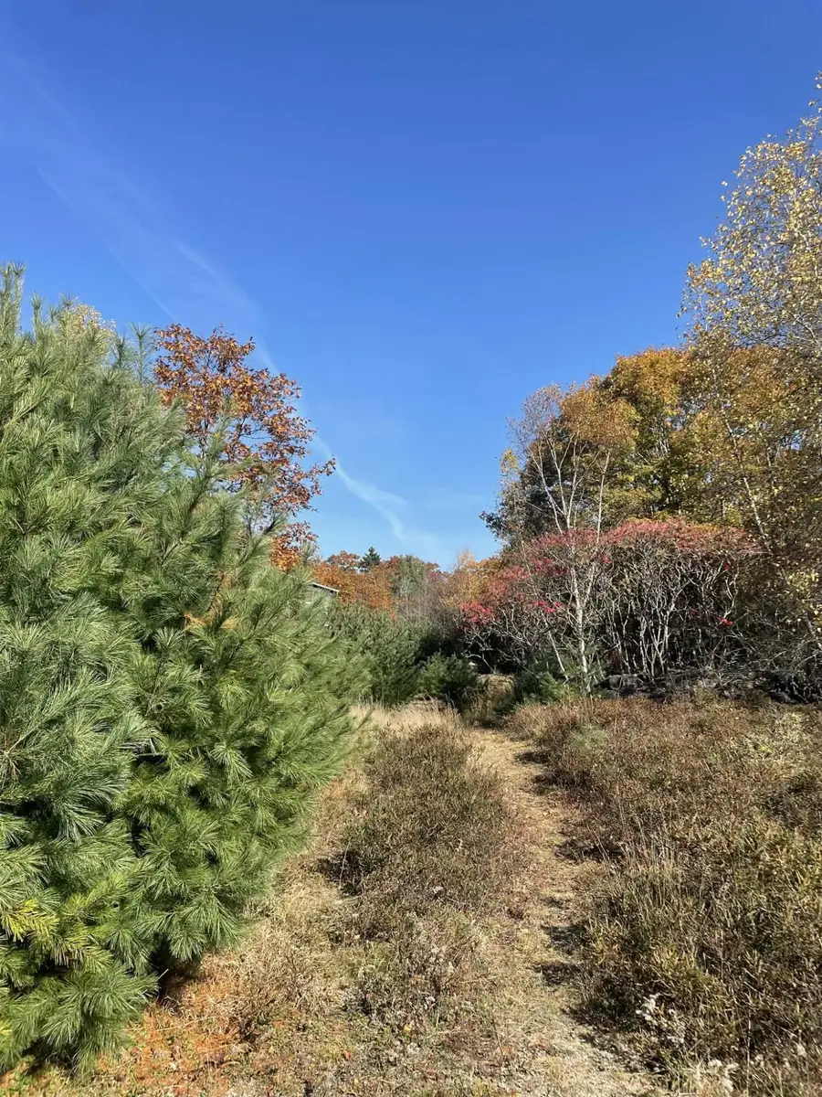 150 Post Office Road, Westport Island, ME 04578 - #3